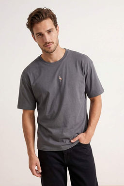 Antrasit Oversize/Geni_ Kesim Flamingo Nak__l_ %100 Pamuklu T-Shirt TMNSS23TS00243 - Trendyolmilla фото 2