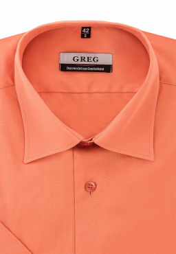 Сорочка мужская короткий рукав GREG 520/309/CAR