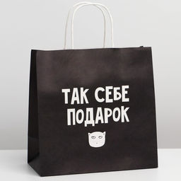 Пакет подарочный Так себе, а не подарок, 22 22 11 см