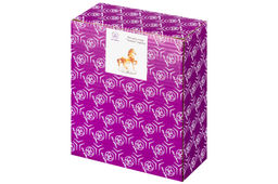 Фигурка декоративная 12*5,5*13,5 см Лошадь коричневая с золотом, фарфор - Elan gallery фото 6