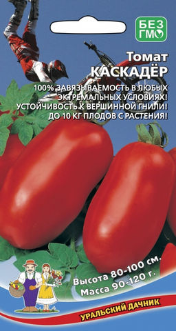 Томат КАСКАДЁР До 10 кг плодов с растения! 100 % завязываемость плодов в экстремальных условиях!