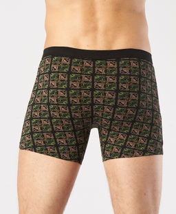 Трусы мужские боксеры Rogers 8702 хлопок, эластан размеры M, L, XL, 2XL фото 2