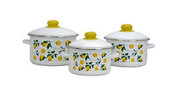 ЭМ_Набор 3 пред "Лимоны" 2-3207/4 Магнитогорск