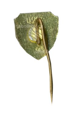 Значок Каунас