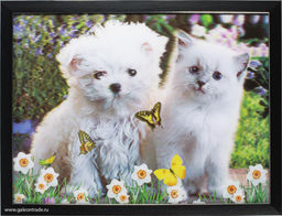 Картина 5D 30х40 3021 Беляночки/ KS1912-3/