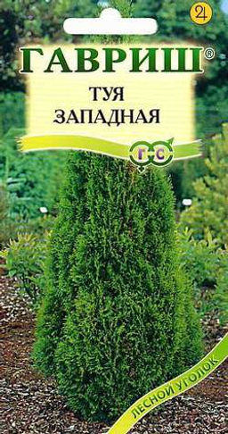 Туя Канди Страйп западная 0,05г (г)