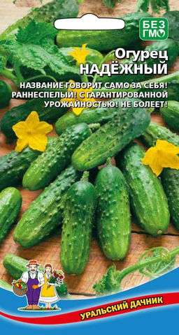 Огурец НАДЁЖНЫЙ Название говорит само за себя! Раннеспелый! С гарантированной урожайностью! Не болеет!