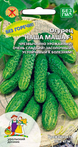 Огурец НАША МАША F1 Без горечи! Чрезвычайно урожайный! Самый сладкий! Засолочный! Устойчив к болезням! - Уральский дачник фото 2