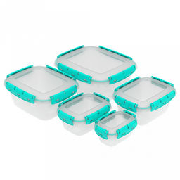 Контейнер для продуктов набор 5 шт: 0,38л, 0,8л, 1,5л, 2,5л, 3,9л, с клипсами, уплотнитель, полипропилен, подходит для СВЧ (Россия)