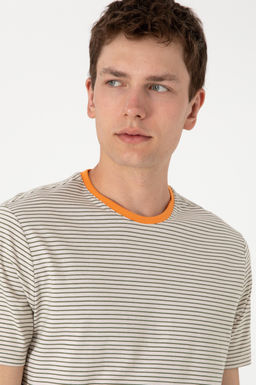 Erkek Regular Fit Bisiklet Yaka Haki _izgili Ti__rt Sepette S_rpriz _ndirim - U.s. polo assn фото 2