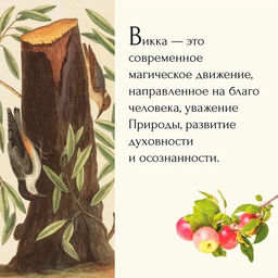 Викка. Зеленая магия, растения и ритуалы. Дуглас Скотти ди Виголено - Колибри фото 4