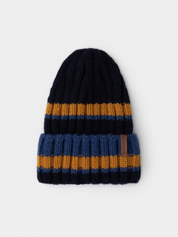 КВ 20413/ш/темно-синий,горчица шапка дет