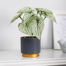 Искусственный цветок в горшке «Каладиум расписной», 7.5×15 см