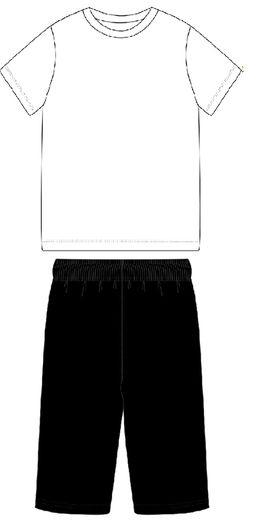 Футболка спортивная+шорты спортивные 2ПФШ5792063