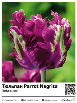 c811719a6e2e37ad906a8b4399aa3f4f3vujt326uufmaqhejz