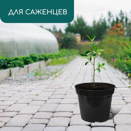 Цена за 6 шт. Горшок для рассады, 3 л, d=19 см, h=15 см, пластик, чёрный, Greengo фото 3