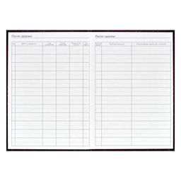 Ежегодник учителя арт. 62336 БОРДОВАЯ ФАКТУРА - Феникс+ фото 11