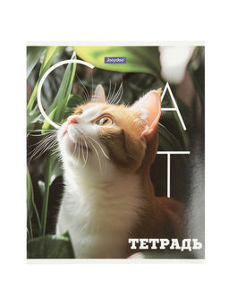 Комплект 12 тетрадей, 48 листов, клетка, 60гр, 4 вида, Животные