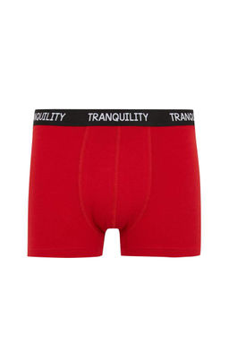 Комплект боксеров стандартной посадки (3 шт.) - Defacto фото 7