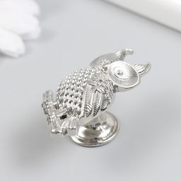 Ручка для шкатулки металл «Филин на ветке», серебро, 5.2×2.2 см