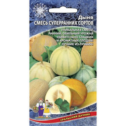 Дыня Смесь суперранних сортов 10шт. (Уральский дачник)