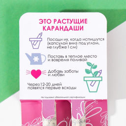 Набор для выращивания, карандаши подарочные «Базилик + Мята», mini, простые чернографитные, 2 шт.