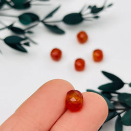 Бусины для украшений из Сердолика (5 шт)