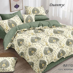 Комплект постельного белья Диантус от з/л, 2-сп Поплин