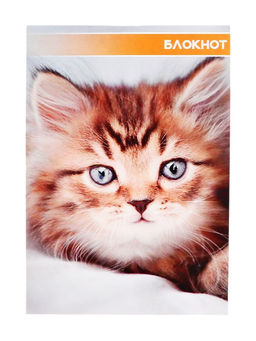 Цена за 20 шт. Блокнот А6, 40 листов в клетку на скрепке Котята и щенята, обложка мелованный картон, МИКС - Calligrata фото 3