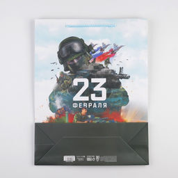 Цена за 2 шт. Пакет подарочный ламинированный, упаковка, «С 23 февраля», L 31×40×11.5 см