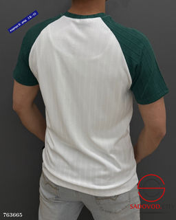 Мужская однотонная футболка