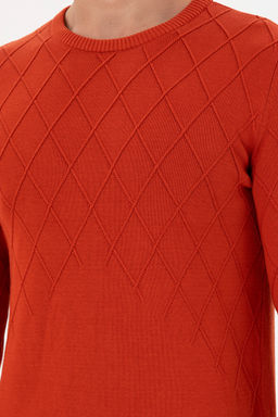 Erkek Slim Fit Bisiklet Yaka Kiremit Kazak - U.s. polo assn фото 14