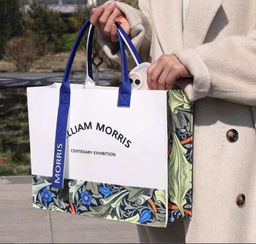 Сумка Rui-Mi-32 - Ferro фото 7