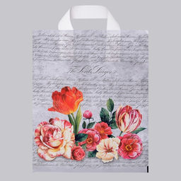 Цена за 25 шт. Пакет "Фреска", полиэтиленовый с петлевой ручкой, 28 х 35 см, 55 мкм