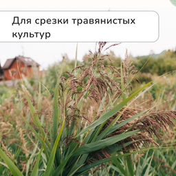 Ножницы садовые, 7 (18 см), с металлическими ручками, обрезиненная ручка, красные, Greengo фото 10