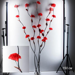 Сухоцвет набор 5 штук 150 см Гвоздика красная / 18-18 /уп 100/641044