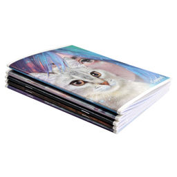 Цена за 10 шт. Тетрадь, 48 л, клетка, арт. 64269/ 10 ЗЕРКАЛО ДУШИ