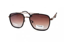 POMILED POLARIZED 08230 C10-02 58-19-142