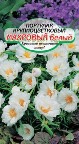 Белый махровый крупноцветк.портулак 0,05гр (ссс)