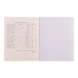 Набор предметных тетрадей Calligrata TOP «Журнал», 10 предметов, 48 листов, со справочным материалом, картонная обложка, глянцевая ламинация