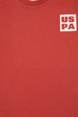 Erkek _ocuk G_l Kurusu Bisiklet Yaka Ti__rt - U.s. polo assn фото 3