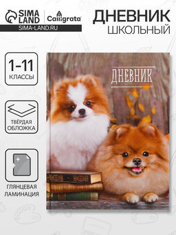 Дневник школьный для 1-11 классов, Шпиц, твёрдая обложка 7БЦ, глянцевая ламинация, 40 листов
