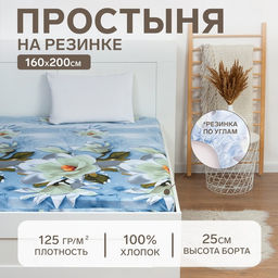 Простыня на резинке Этель 160х200х25 см