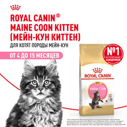 RC Для котят Мейн-кун: 4-15мес. (Kitten Мaine Coon) 25580400R1