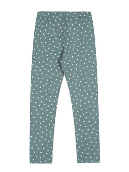 Легинсы 1ДРЛ3848001н