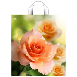 Цена за 5 шт. Пакет ПЭ с петлевой ручкой 38х42+6см (37) ПНД (Утренняя роза) Тико (х50/300)