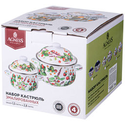 НАБОР КАСТРЮЛЬ AGNESS ЭМАЛИРОВАННЫХ СЕРИЯ ФРУКТОВАЯ КОРЗИНА, 4ПР. 1,5Л И 2,8Л, 16Х10СМ, 20Х12СМ  фото 2