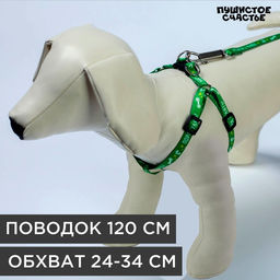 Комплект Пора гулять, шлейка 24-34 см, поводок 120х1 см