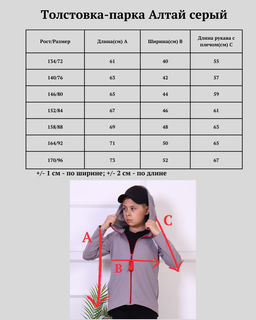 Толстовка-парка "Алтай" серый