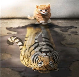 Алмазная мозаика на подрамнике 40x50 Отражение силы / YSG4994 /уп 30/полное заполнение